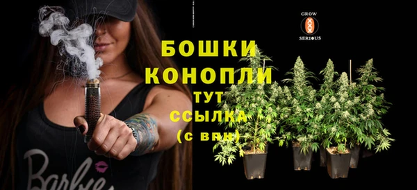 бошки Аркадак