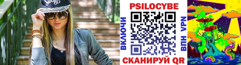 Псилоцибиновые грибы Cubensis  закладки  Сольвычегодск 