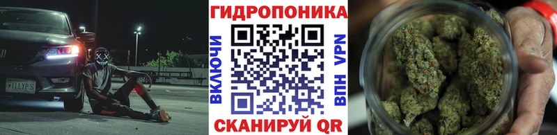 цены наркотик  гидра рабочий сайт  Бошки марихуана план  Сольвычегодск 